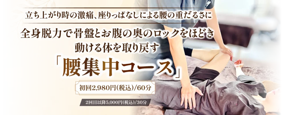 腰集中コース